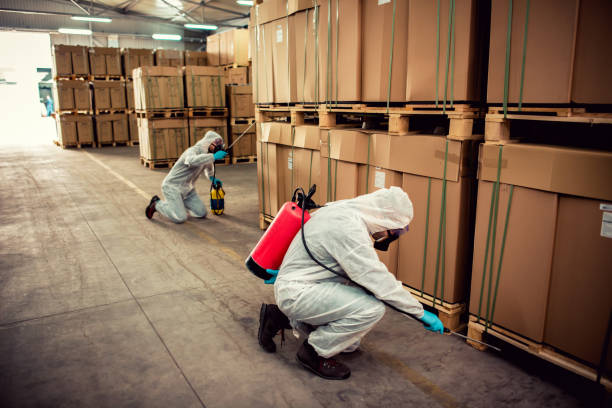 Best Best Pest Control Companies  in Burnsville, NC