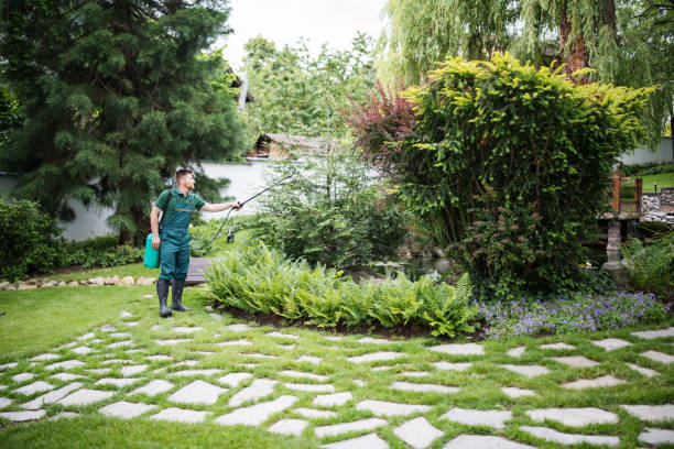 Pest Control Cost in Burnsville, NC