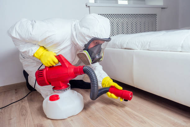 Best Mosquito Control Services  in Burnsville, NC