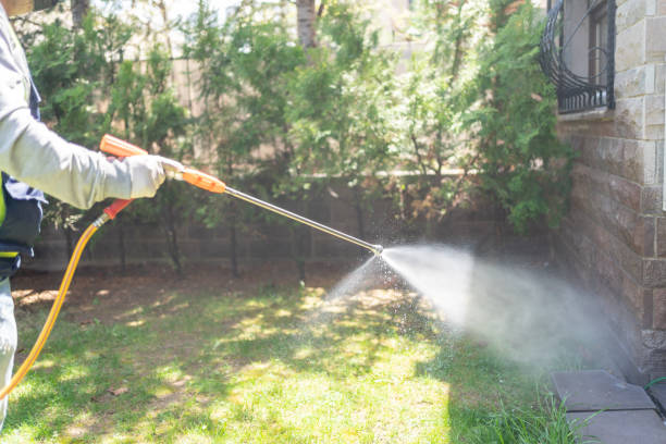 Best Exterminator Services  in Burnsville, NC