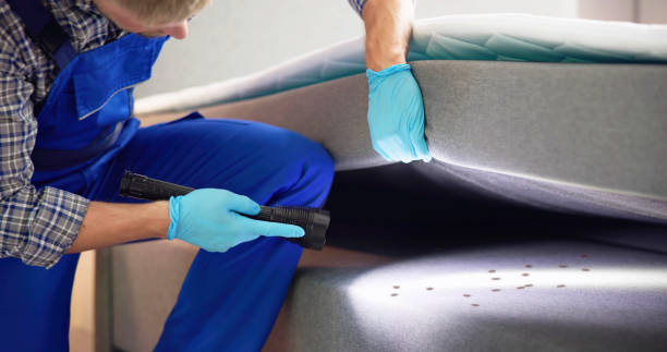 Best Termite Control Services  in Burnsville, NC