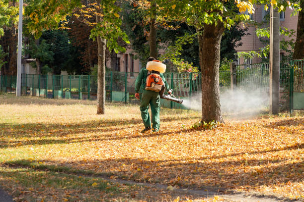 Best Bed Bug Extermination  in Burnsville, NC